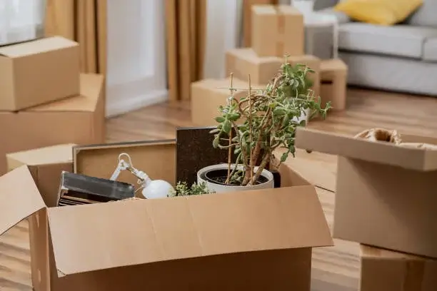 تحميل وتركيب عفش بجدة وابها خميس مشيط